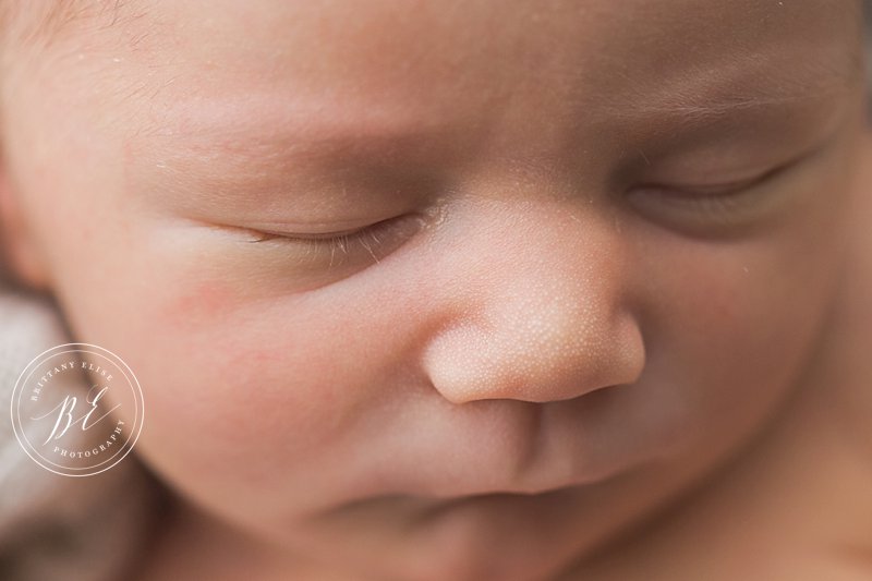 Tampa Luxury Newborn Photographer