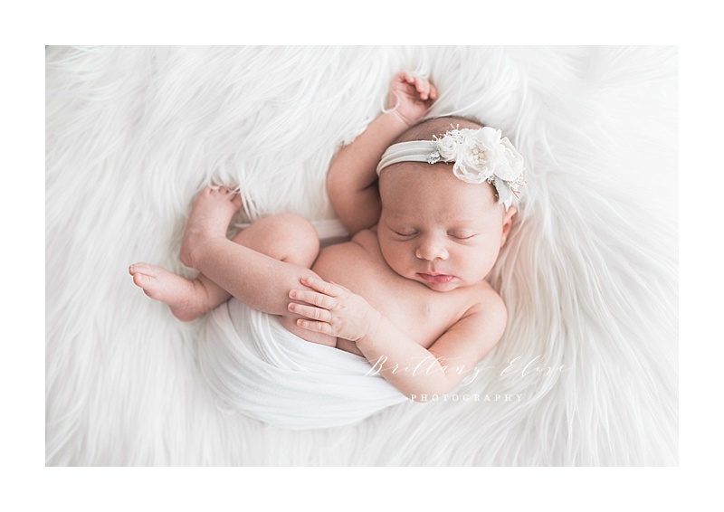 Tampa Newborn Natural Light Studio Photographer