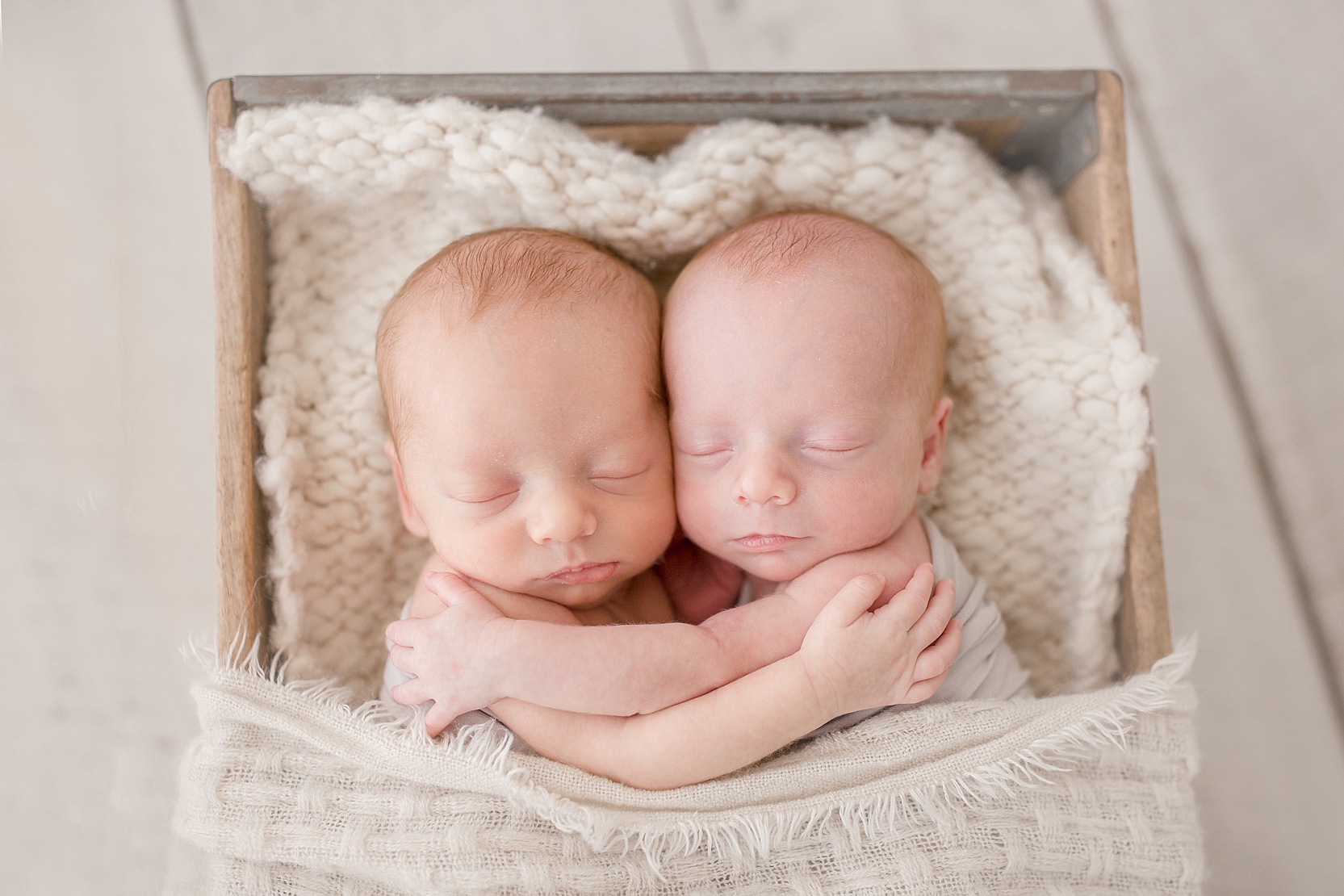 Tampa Twin Newborn Studio Photographer