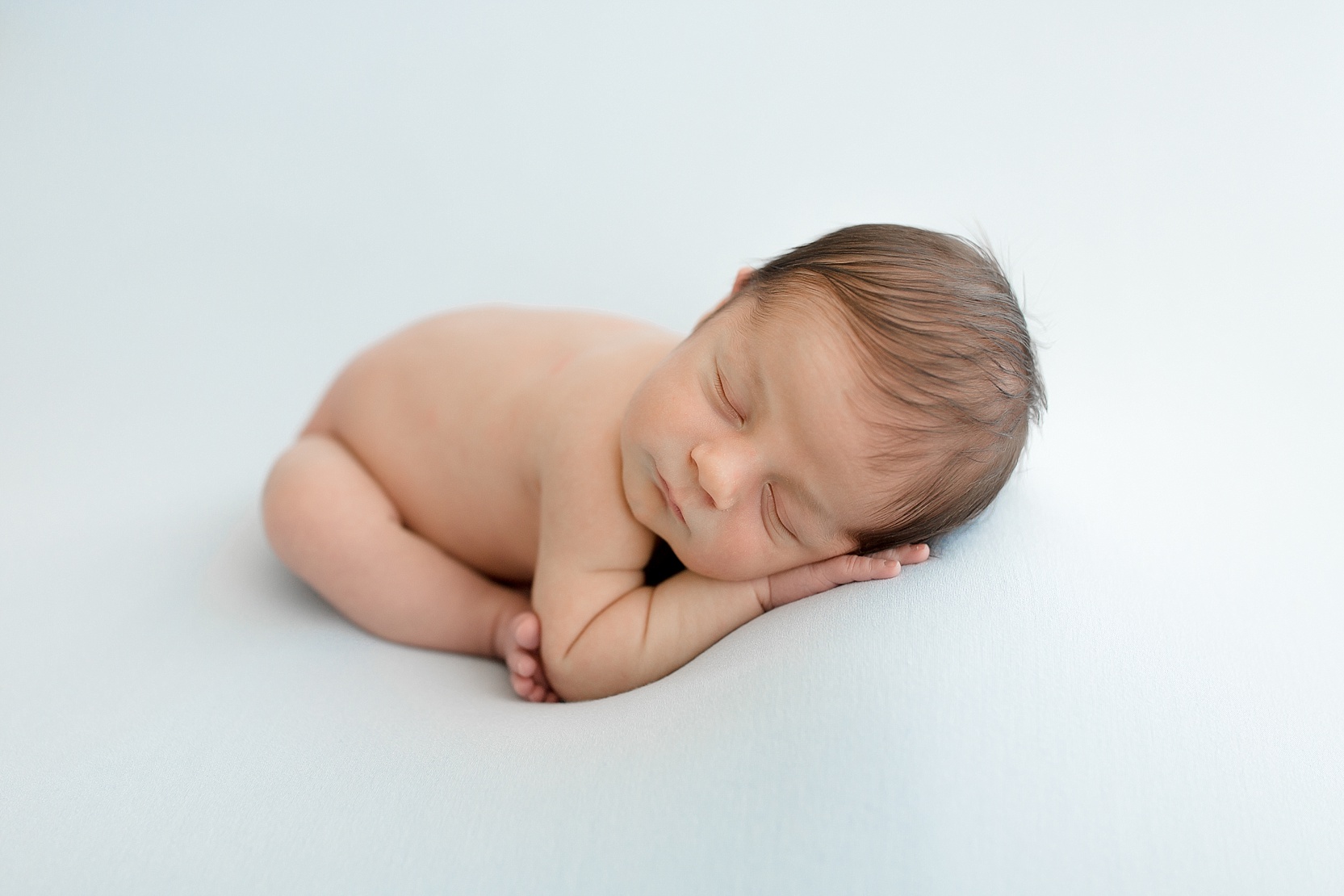 Tampa Natural Light Studio Newborn Photographer