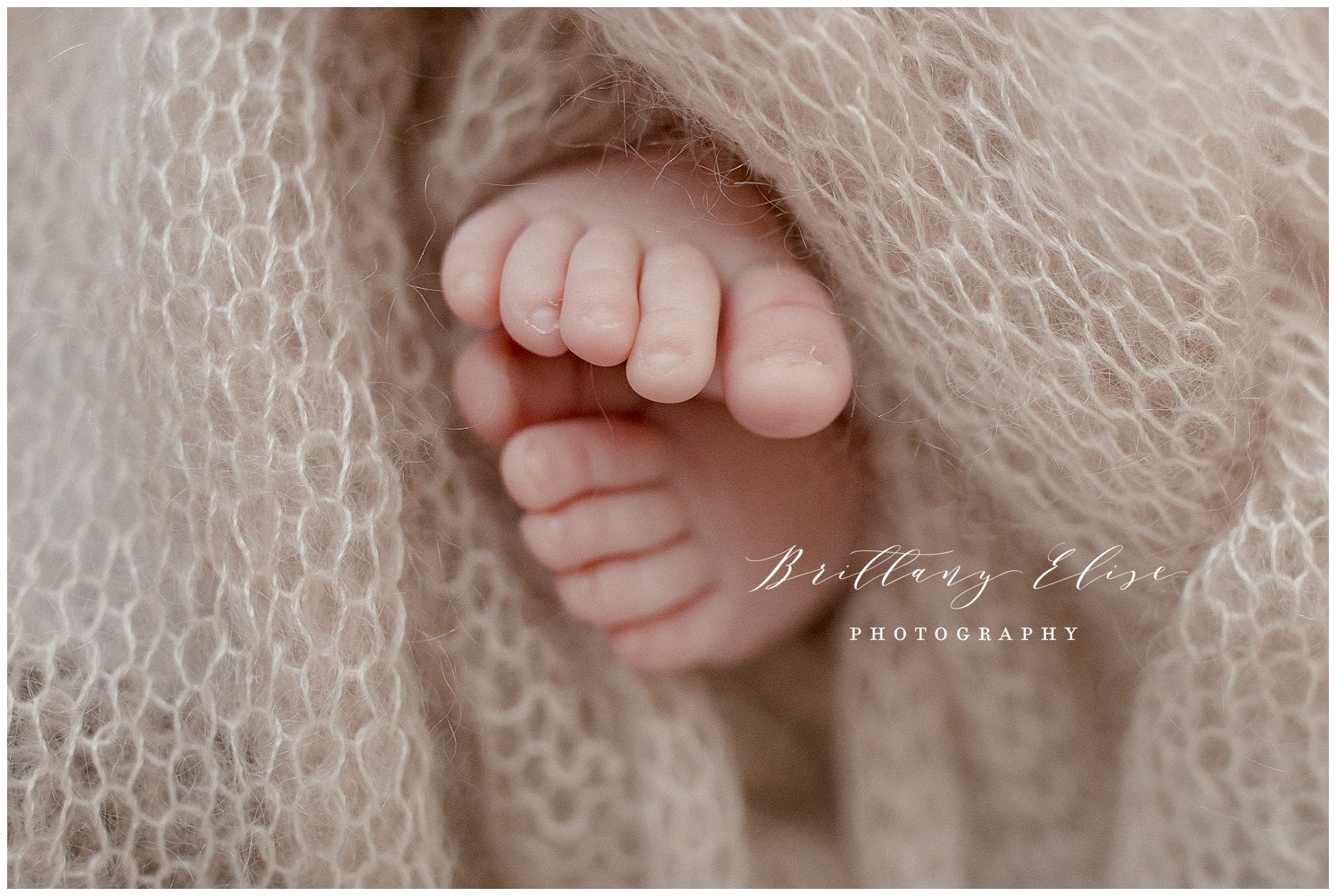 Tampa Newborn Natural Light Photographer