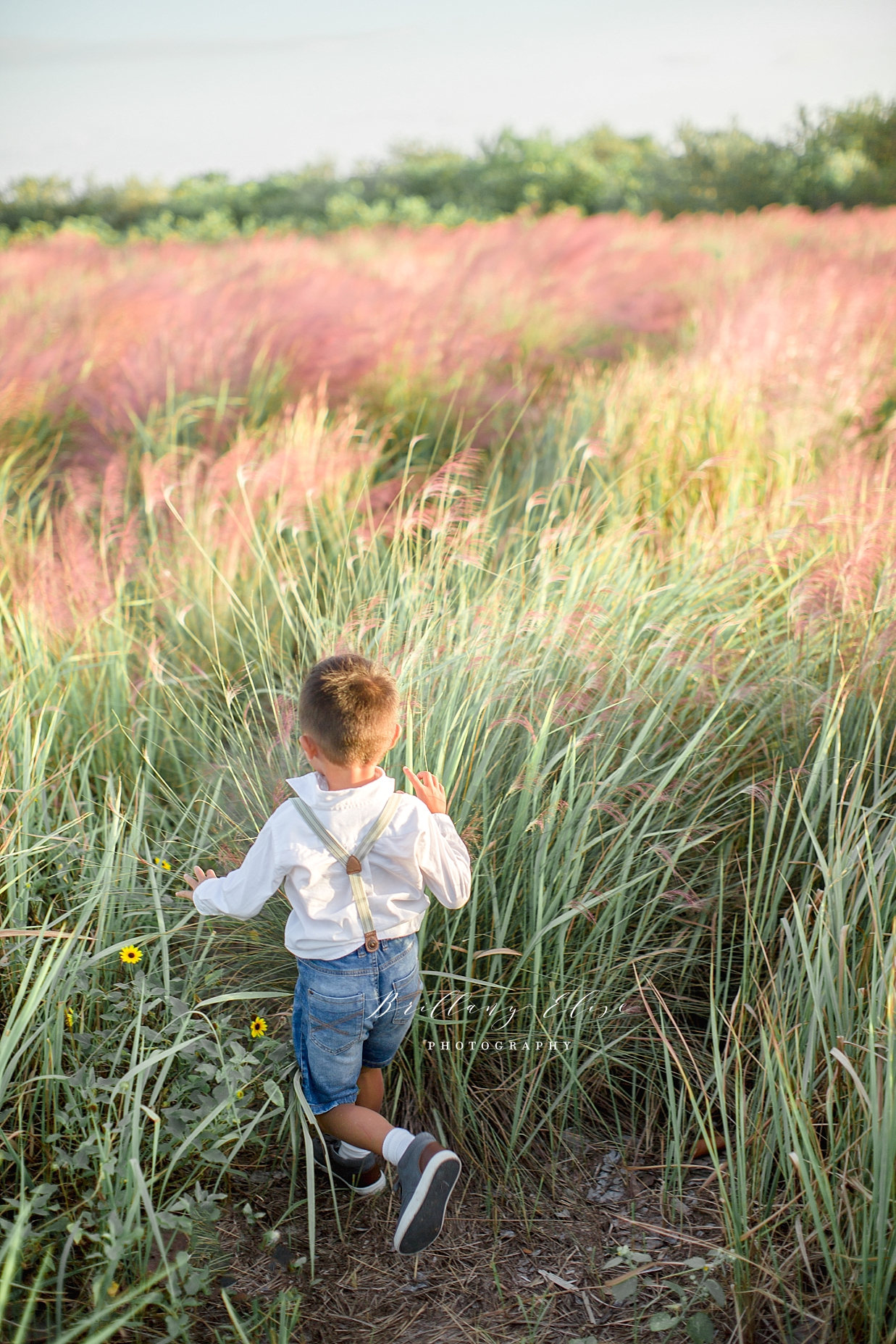 Tampa Family Photographer