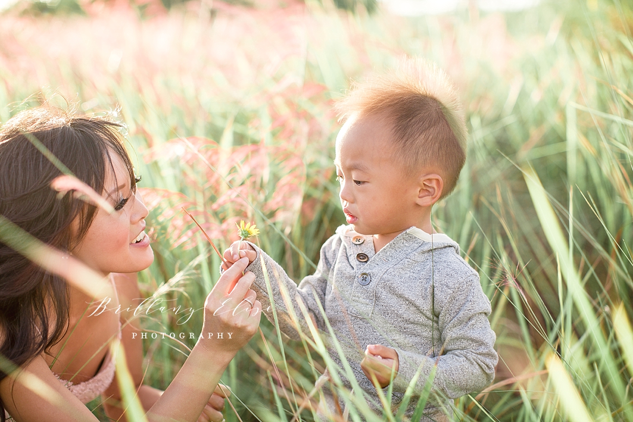 Tampa Family Photographer