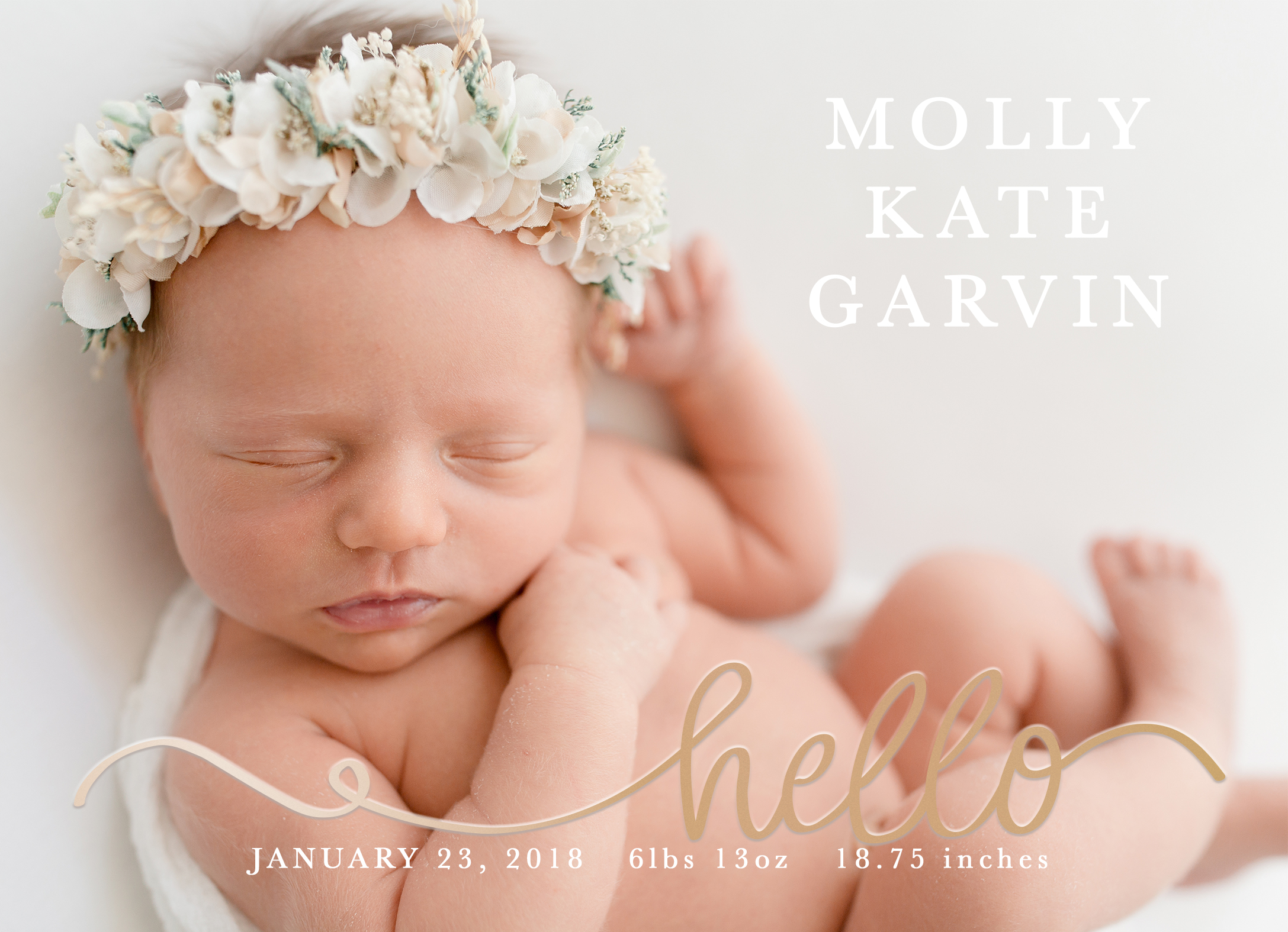 Tampa Newborn Studio Photographer