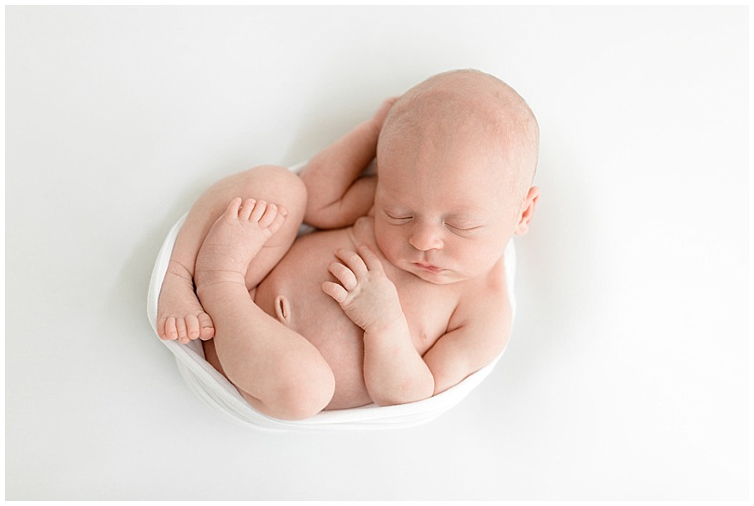 Newborn Photographer in Tampa, FL