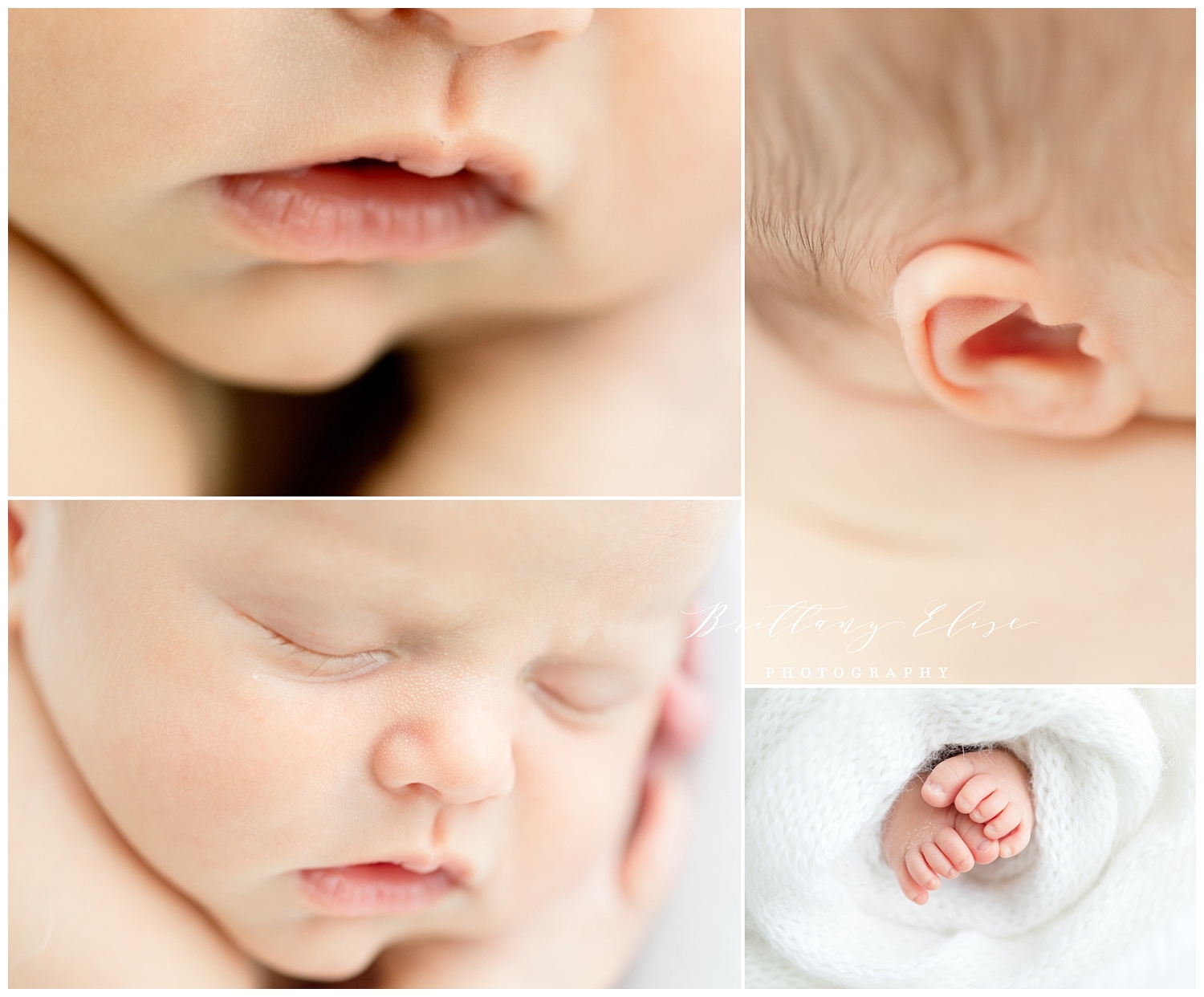 Tampa Newborn Photographer