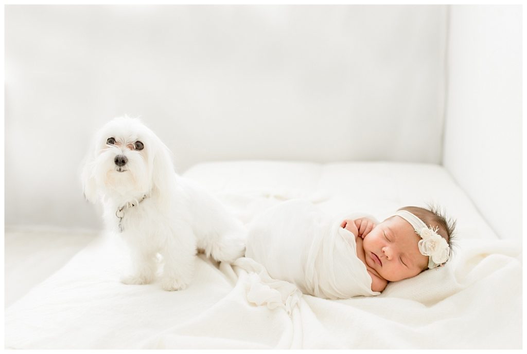 Jolie Blu's First Portrait Session | Tampa, FL Newborn Photographer