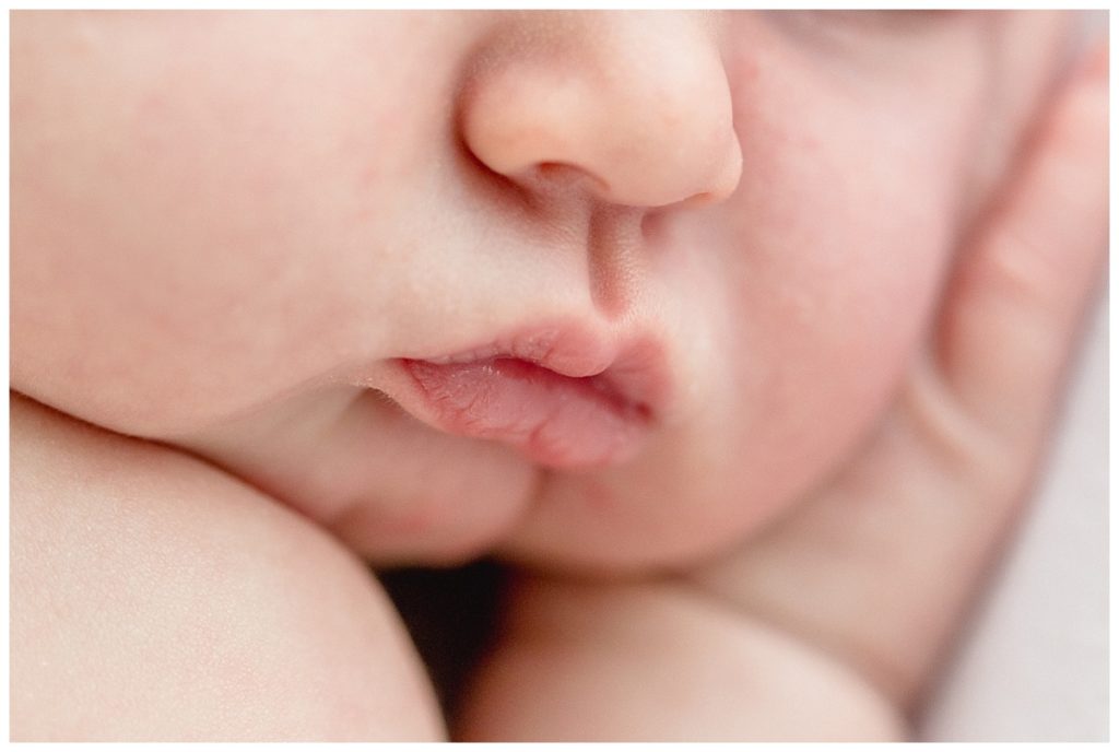 Baby Phoebe-A Natural Light Newborn Portrait Session in Tampa, FL.