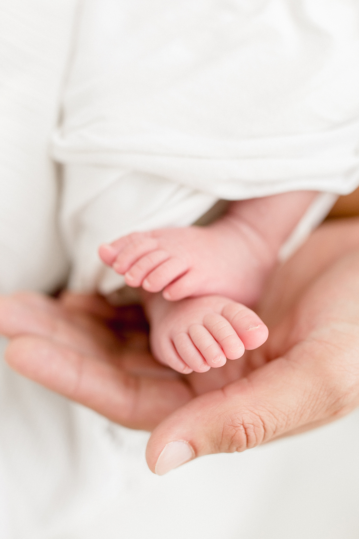 Tiny baby feet in the palm of Dad's hands. Photo by Brittany Elise Photography.